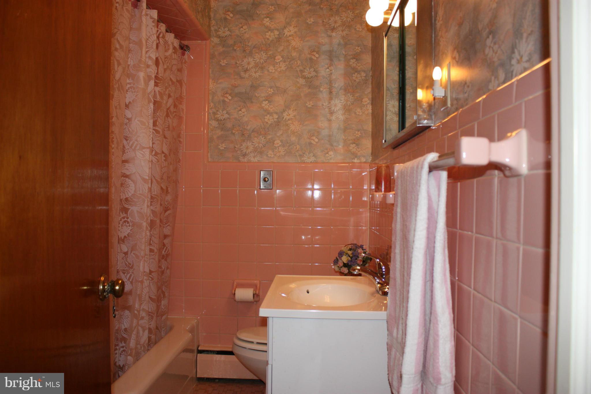 9020 Double Hills Road Denton, MD 21629 - Photo 11 of 30 Bath
