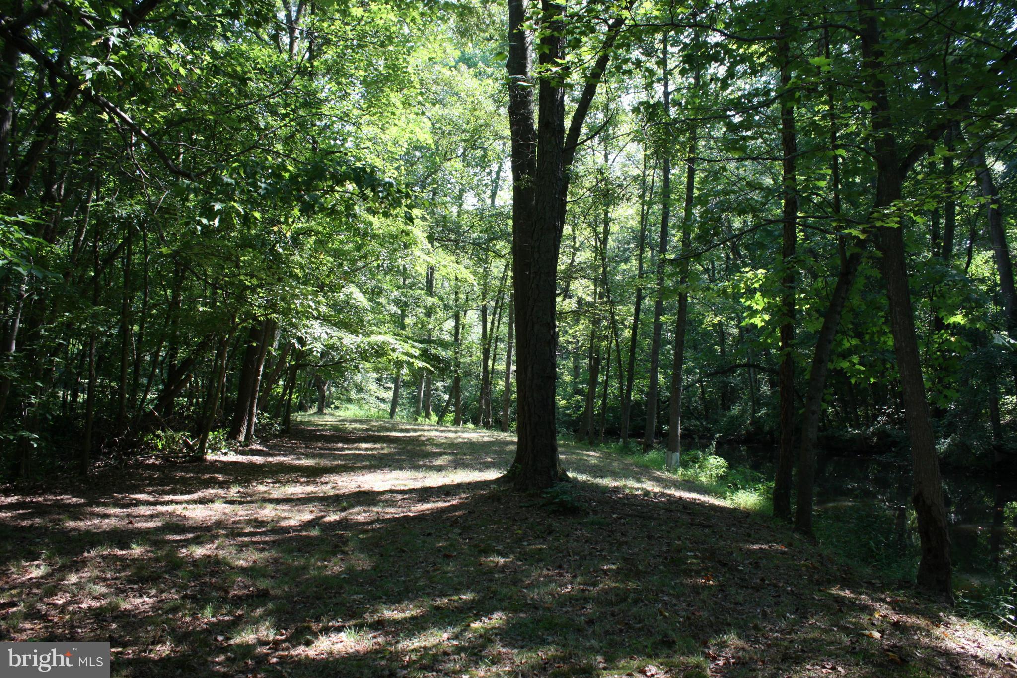 9020 Double Hills Road Denton, MD 21629 - Photo 22 of 30 One of several nature trails