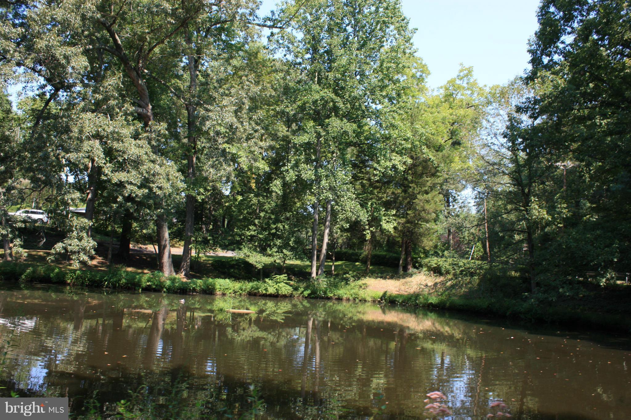 9020 Double Hills Road Denton, MD 21629 - Photo 24 of 30 Stream-fed pond