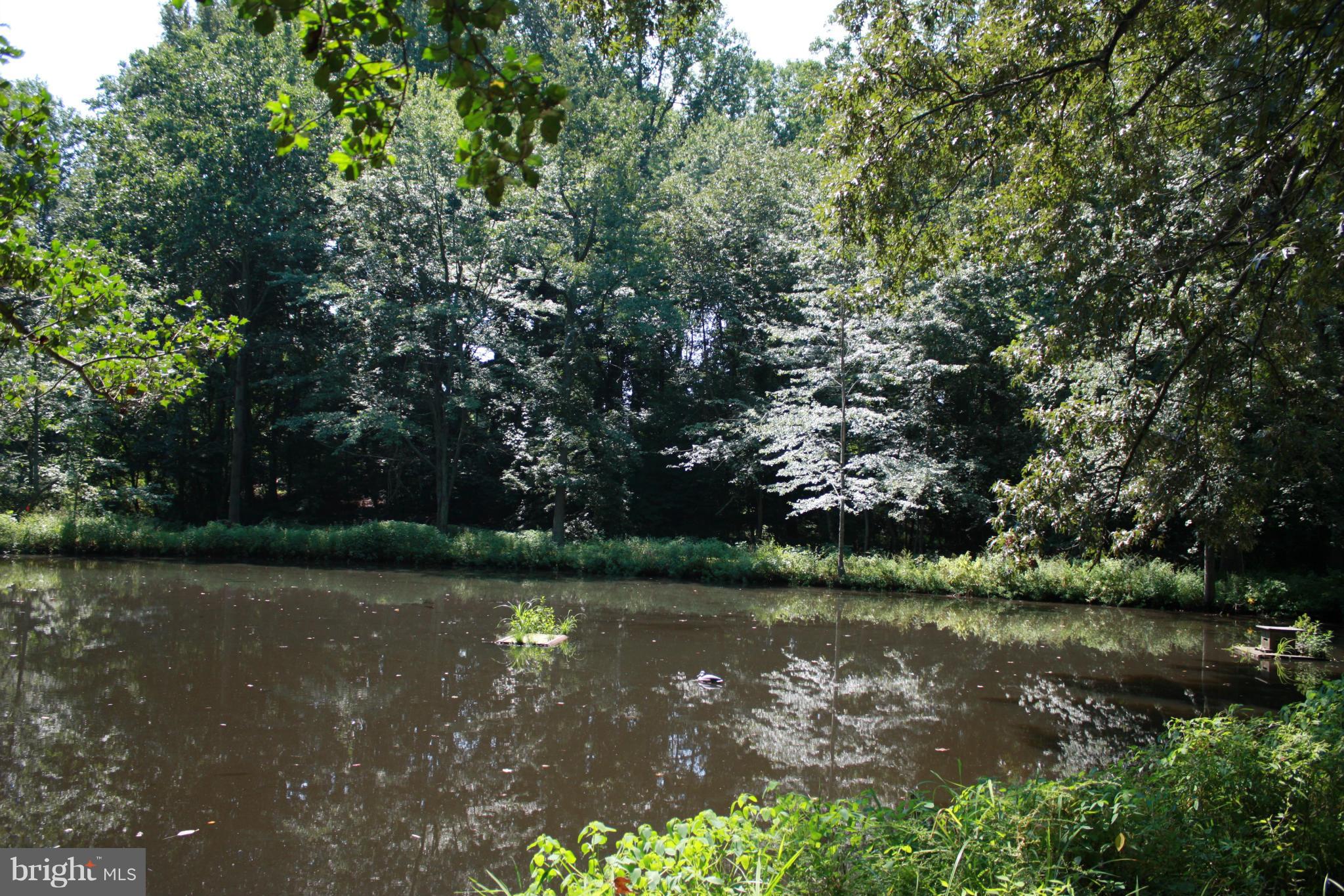 9020 Double Hills Road Denton, MD 21629 - Photo 25 of 30 Stream-fed pond