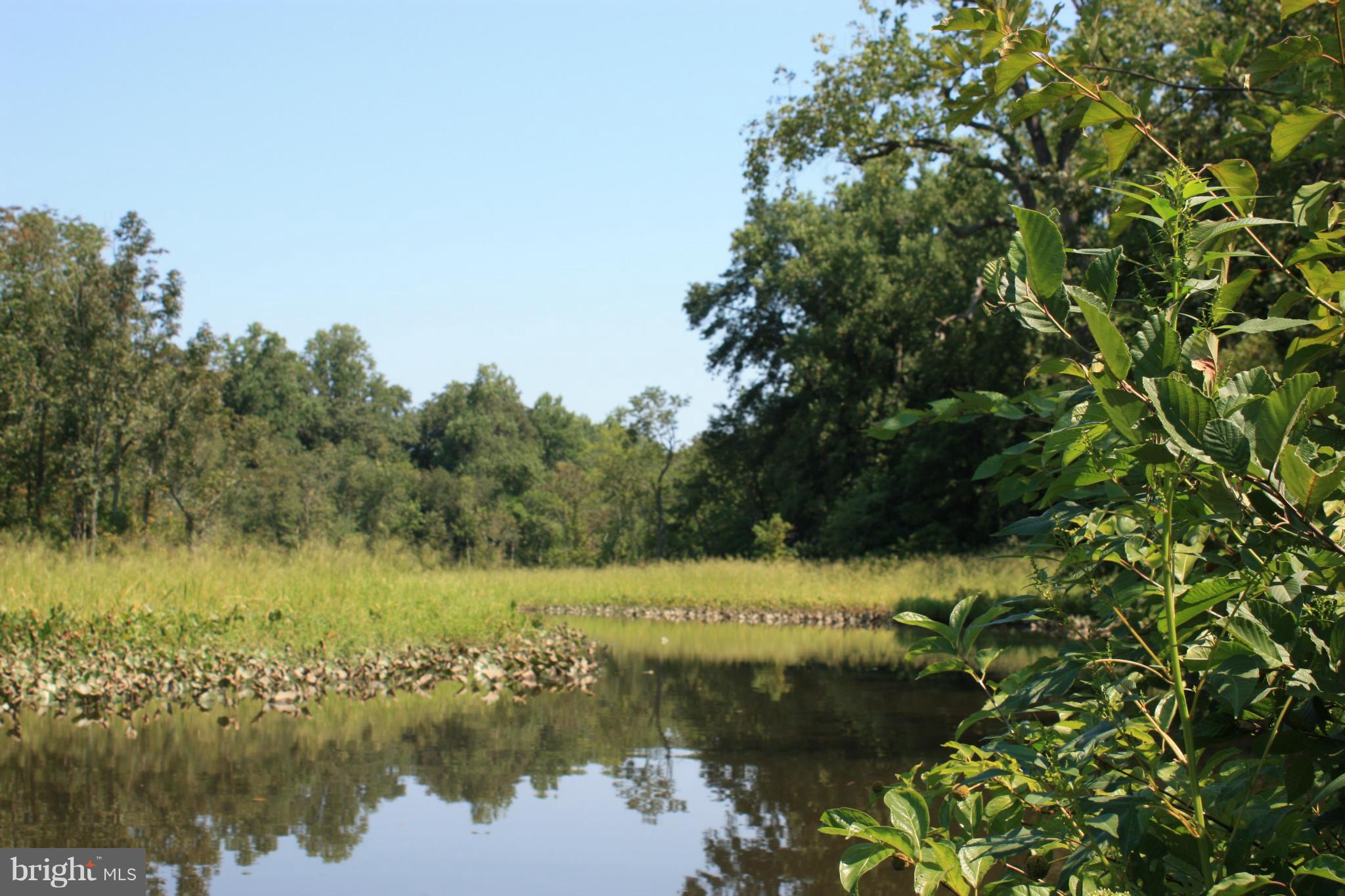 9020 Double Hills Road Denton, MD 21629 - Photo 26 of 30 Watts Creek