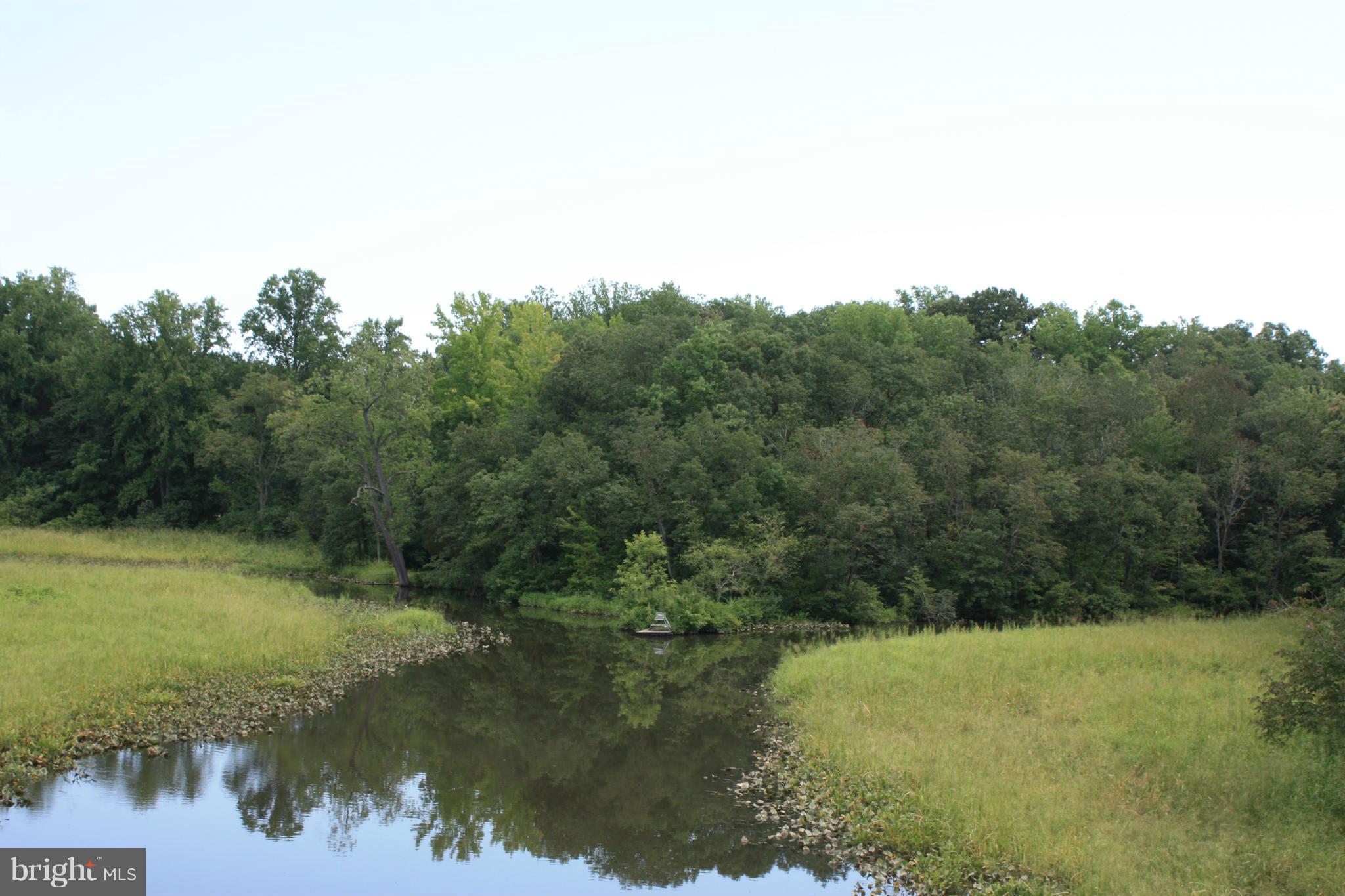 9020 Double Hills Road Denton, MD 21629 - Photo 28 of 30 Watts Creek