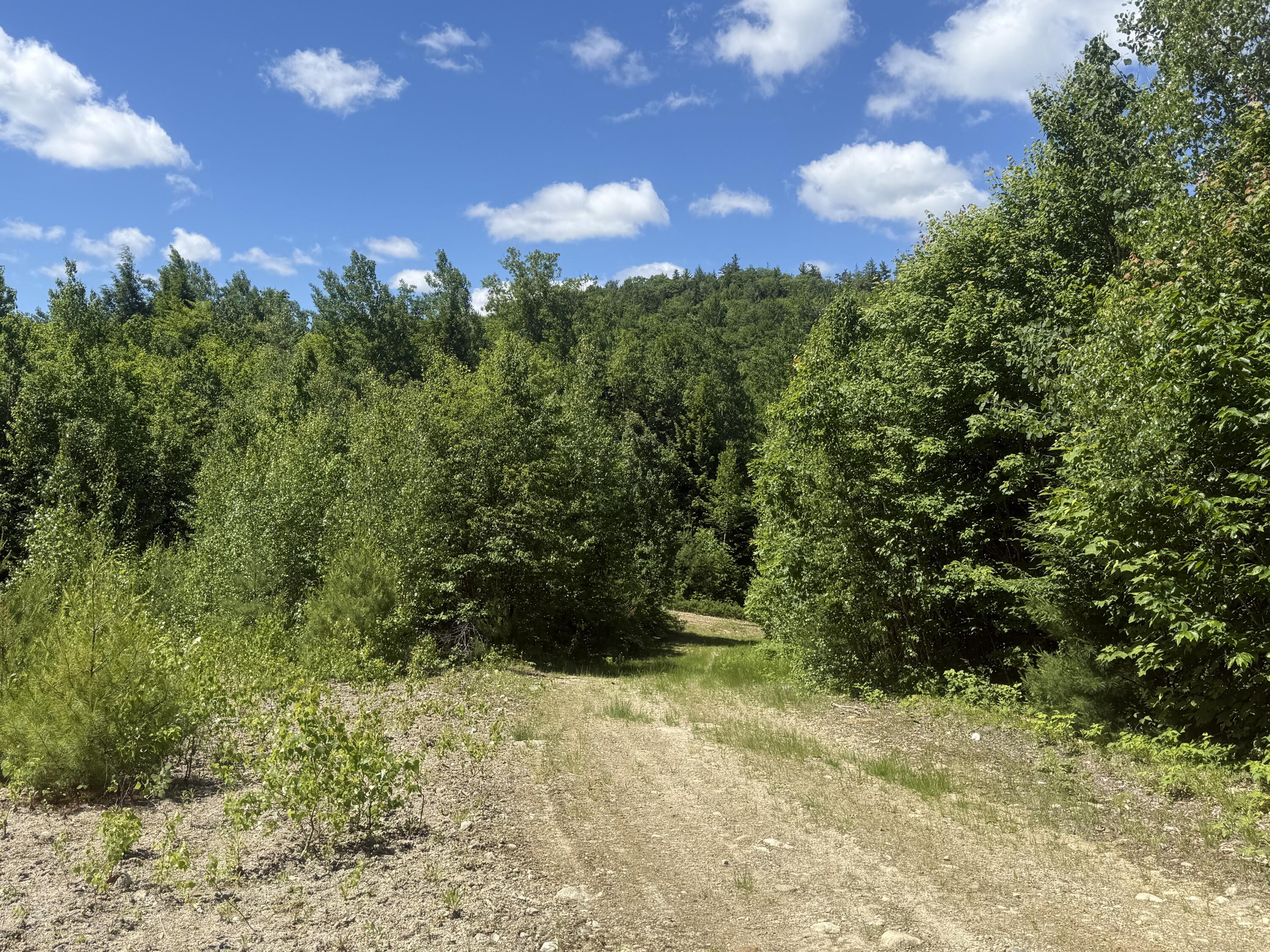 27 Greenwoods Road Peru, ME 04290 - Photo 32 of 37 IMG_4036