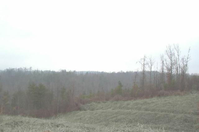 Well Mountain Road Westminster, SC 29693 - Photo 2 of 7 Gallery Image 2