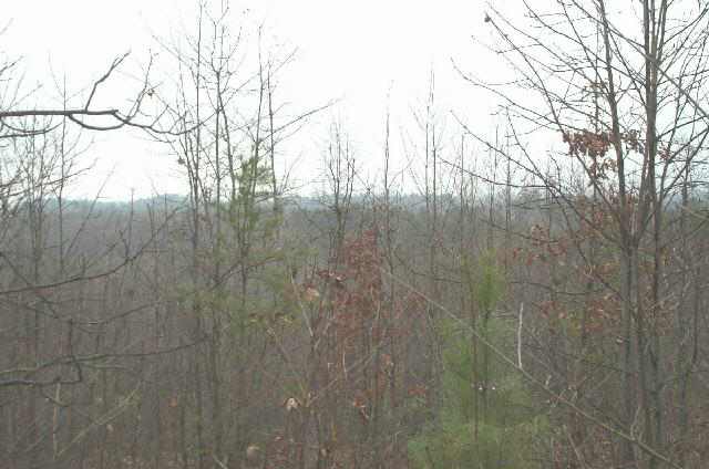 Well Mountain Road Westminster, SC 29693 - Photo 4 of 7 Gallery Image 4