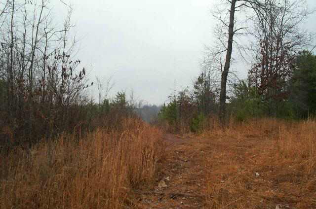 Well Mountain Road Westminster, SC 29693 - Photo 7 of 7 Gallery Image 7