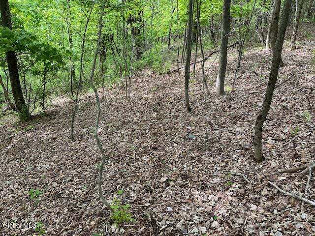 L9 Harrington Road Gilboa, NY 12076 - Photo 9 of 27 IMG_5397