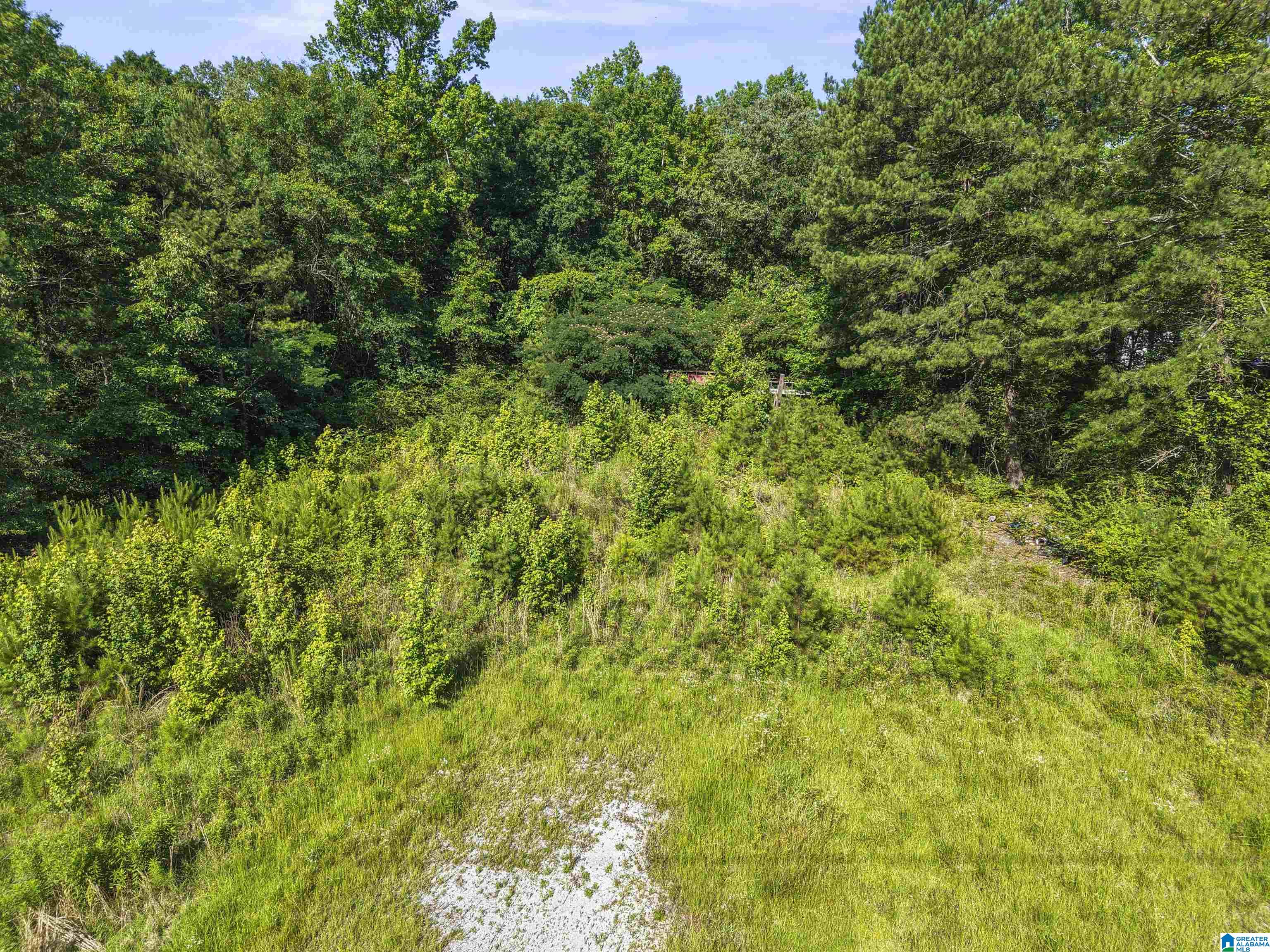 87 Bryan Road, Unit A Sterrett, AL 35147 - Photo 23 of 24
