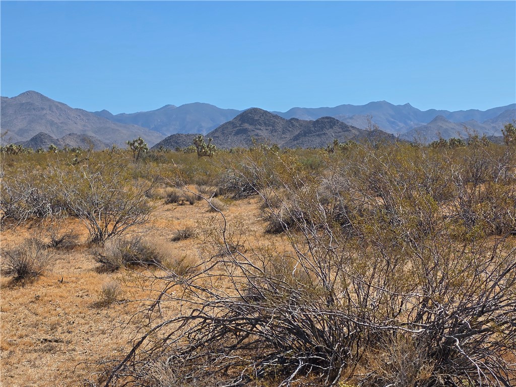 244 South 09-171/2 S Nash Road Yucca, AZ 86438 - Photo 6 of 11