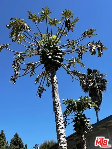 $1,599,000 | 5633 La Mirada Avenue, Los Angeles, CA 90038