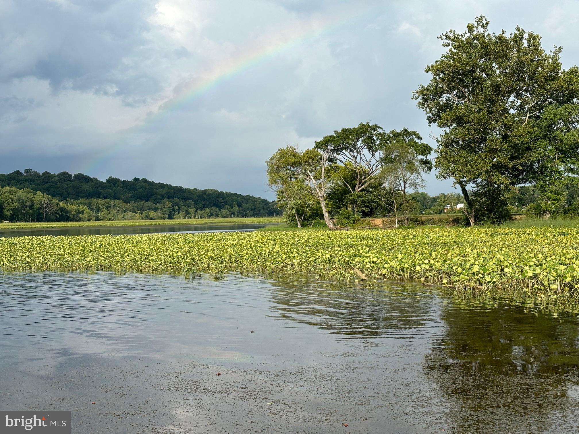 142 Farmington Road West Accokeek, MD 20607 - Photo 101 of 112 a view of a lake with a big yard