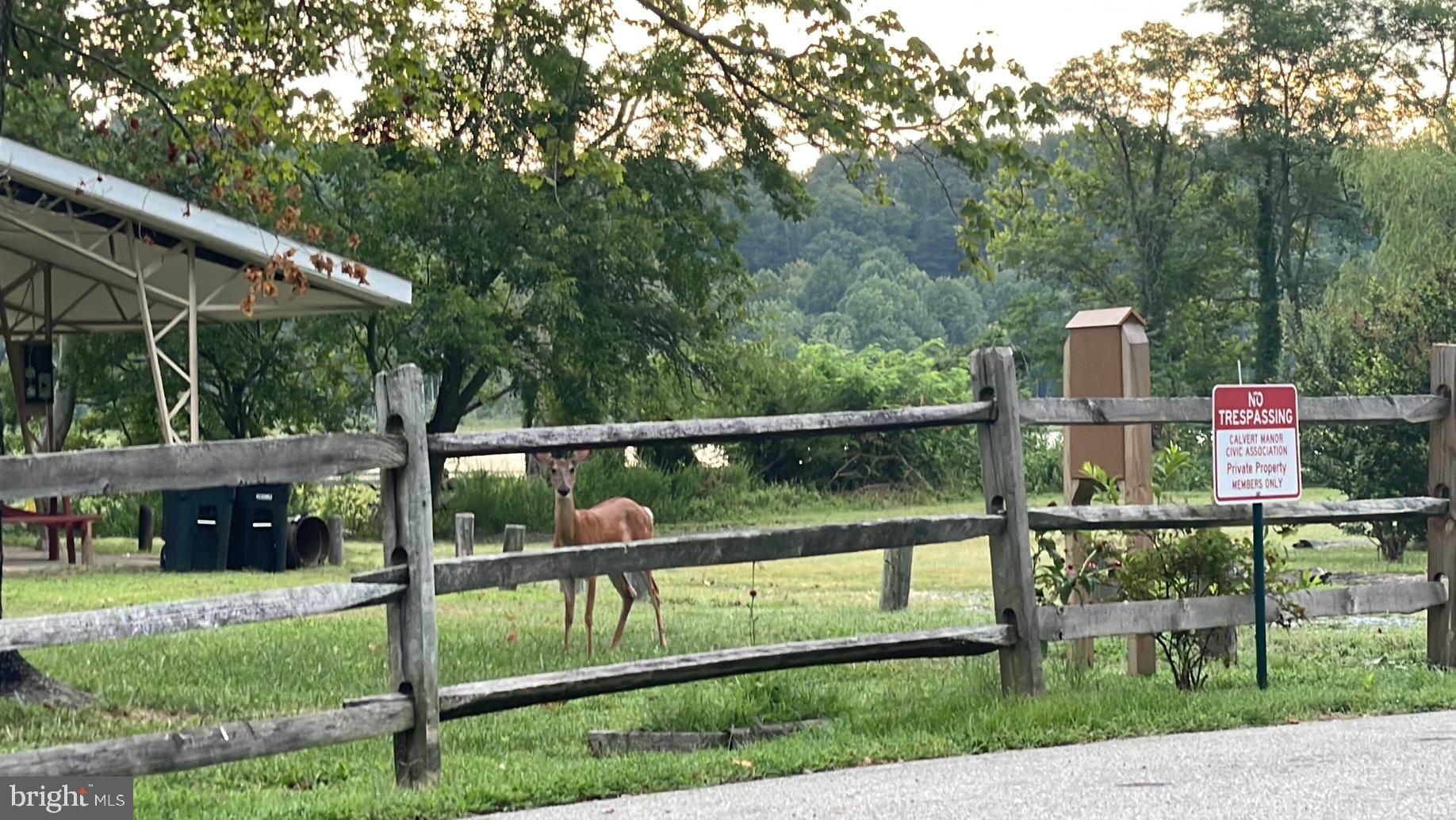 142 Farmington Road West Accokeek, MD 20607 - Photo 103 of 112 Calvert Manor Civic Association