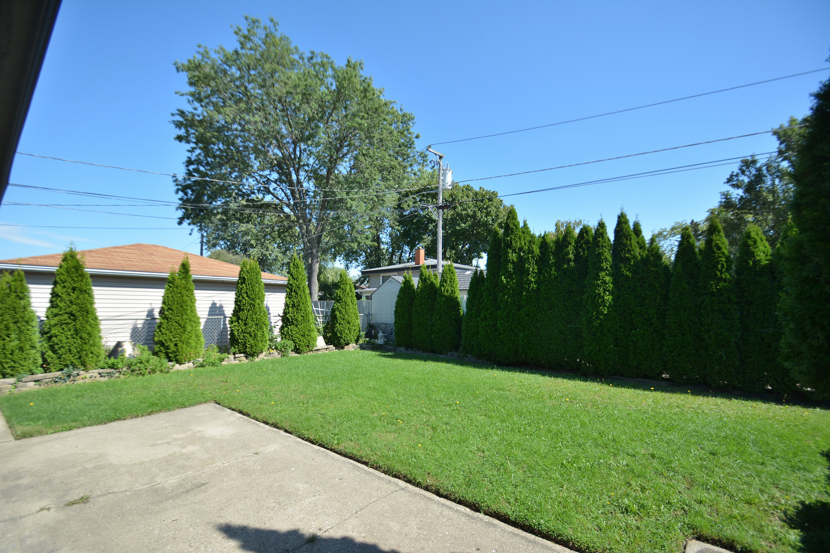 358 Walnut Avenue, Unit A Wheeling, IL 60090 - Photo 3 of 3 a view of a park with plants and trees