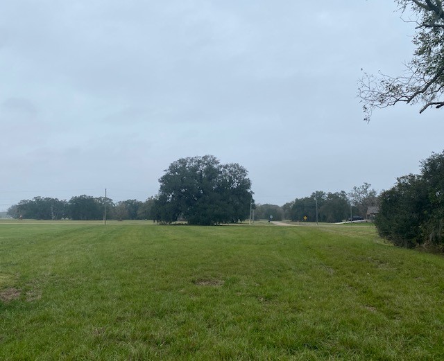 218 Cattle Drive Trail Angleton, TX 77515 - Photo 1 of 34 218 Cattle Lane Trl, view of the lot from (3/4 acre) the rear to the front.
