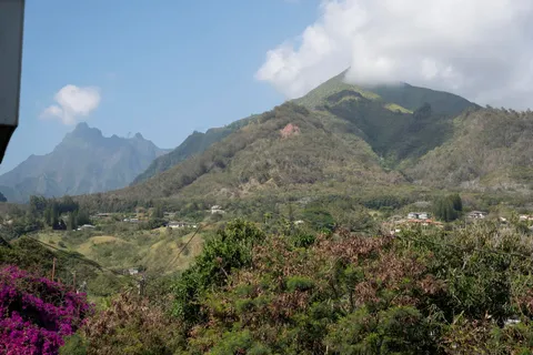 a view of a dry yard
