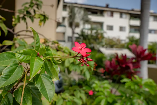 $499,000 | 2180 West Vineyard Street, Unit 105, Wailuku, HI 96793