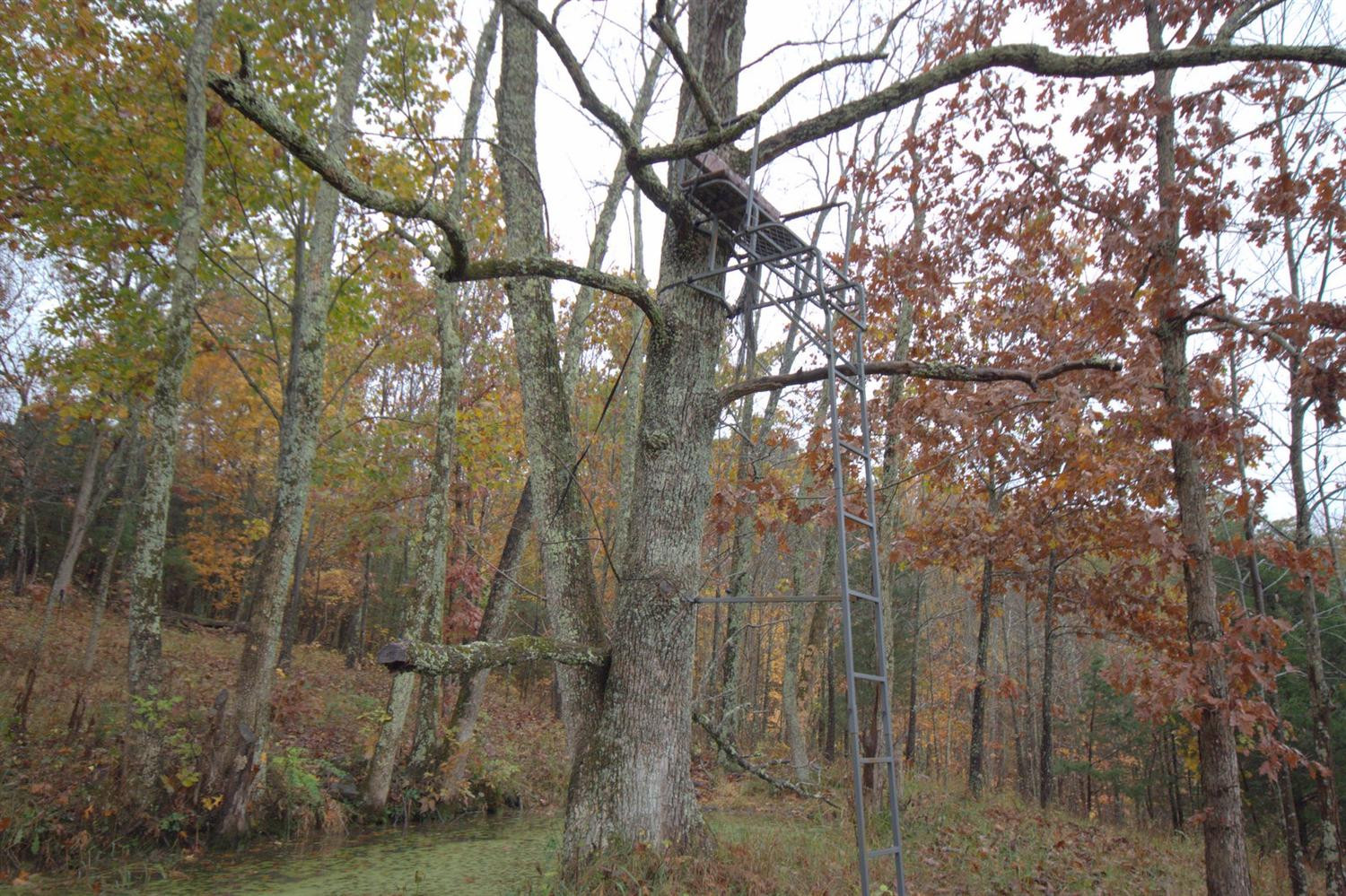 2990 Baker Williams Road Corinth, KY 41010 - Photo 24 of 25 Gallery Image 24