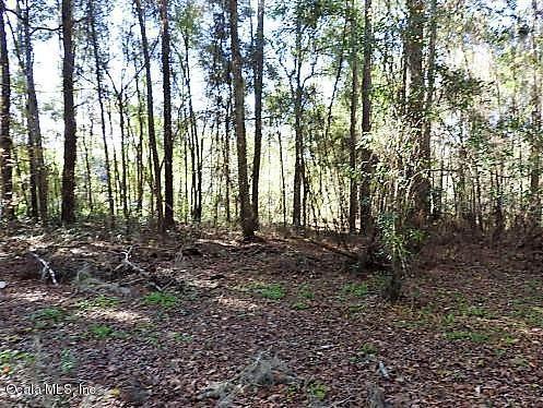 0 Southeast 53rd Terrace Road Belleview, FL 34420 - Photo 1 of 1 20160408025317193535000000-o (2)