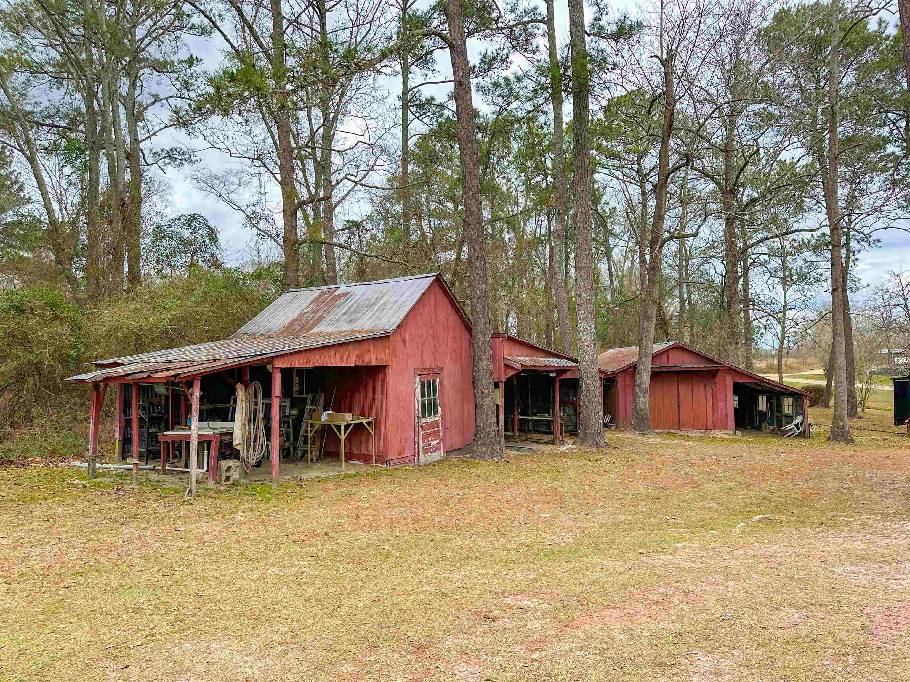 26698 Beulah Church Road Opp, AL 36467 - Photo 7 of 42 Gallery Image 7