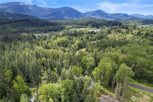 $195,000 | 34208 343rd Ave Court East, Ashford, WA 98304