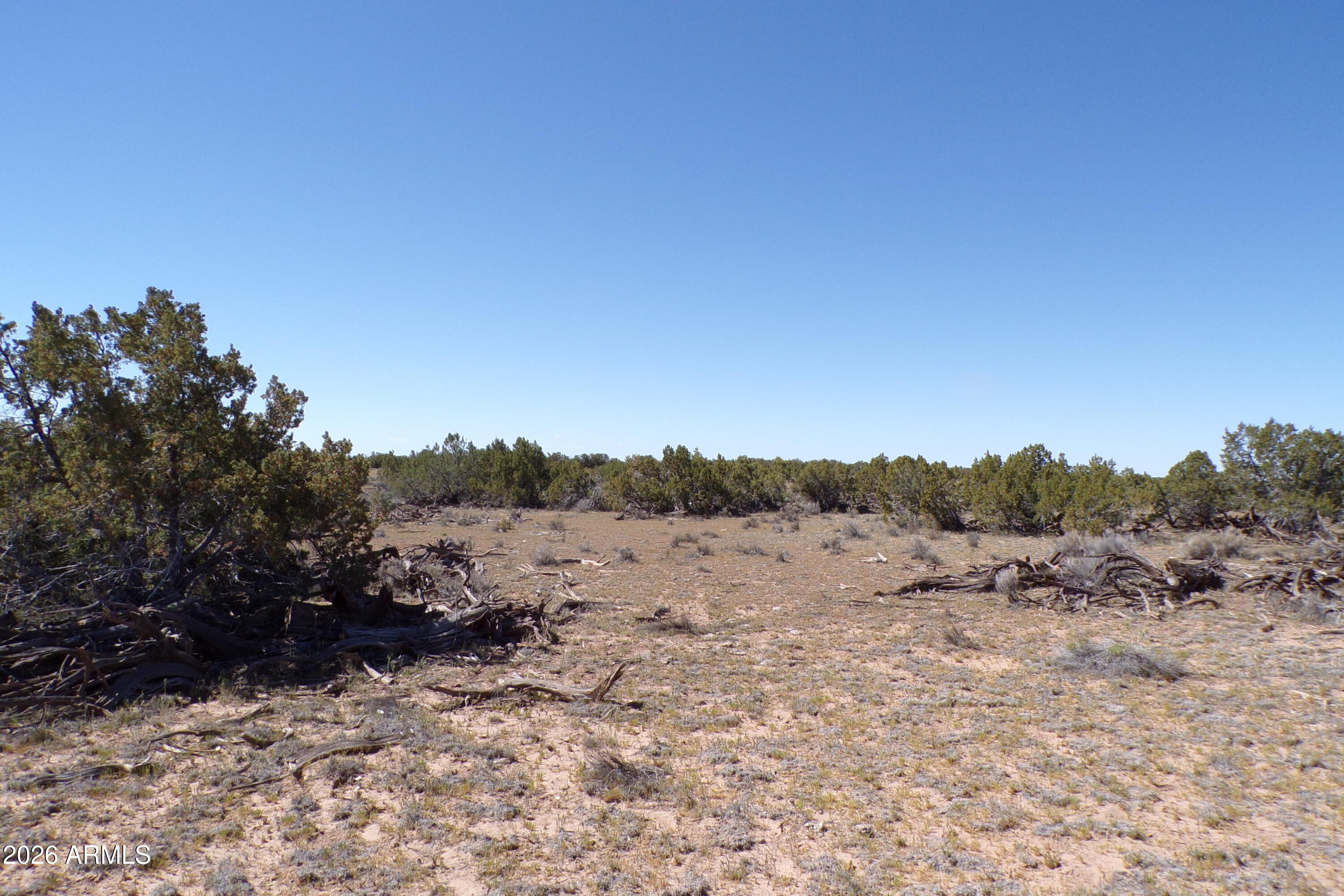 0 Ranch Road Sanders, AZ 86512 - Photo 5 of 42 a view of a dry field