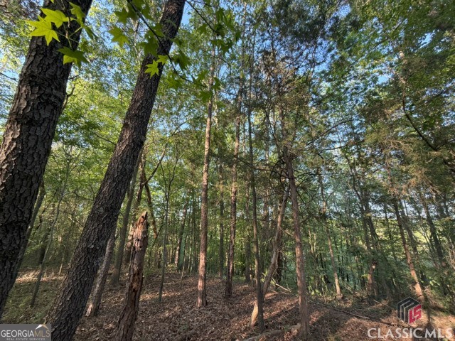 0 Moore Road Elberton, GA 30635 - Photo 56 of 67