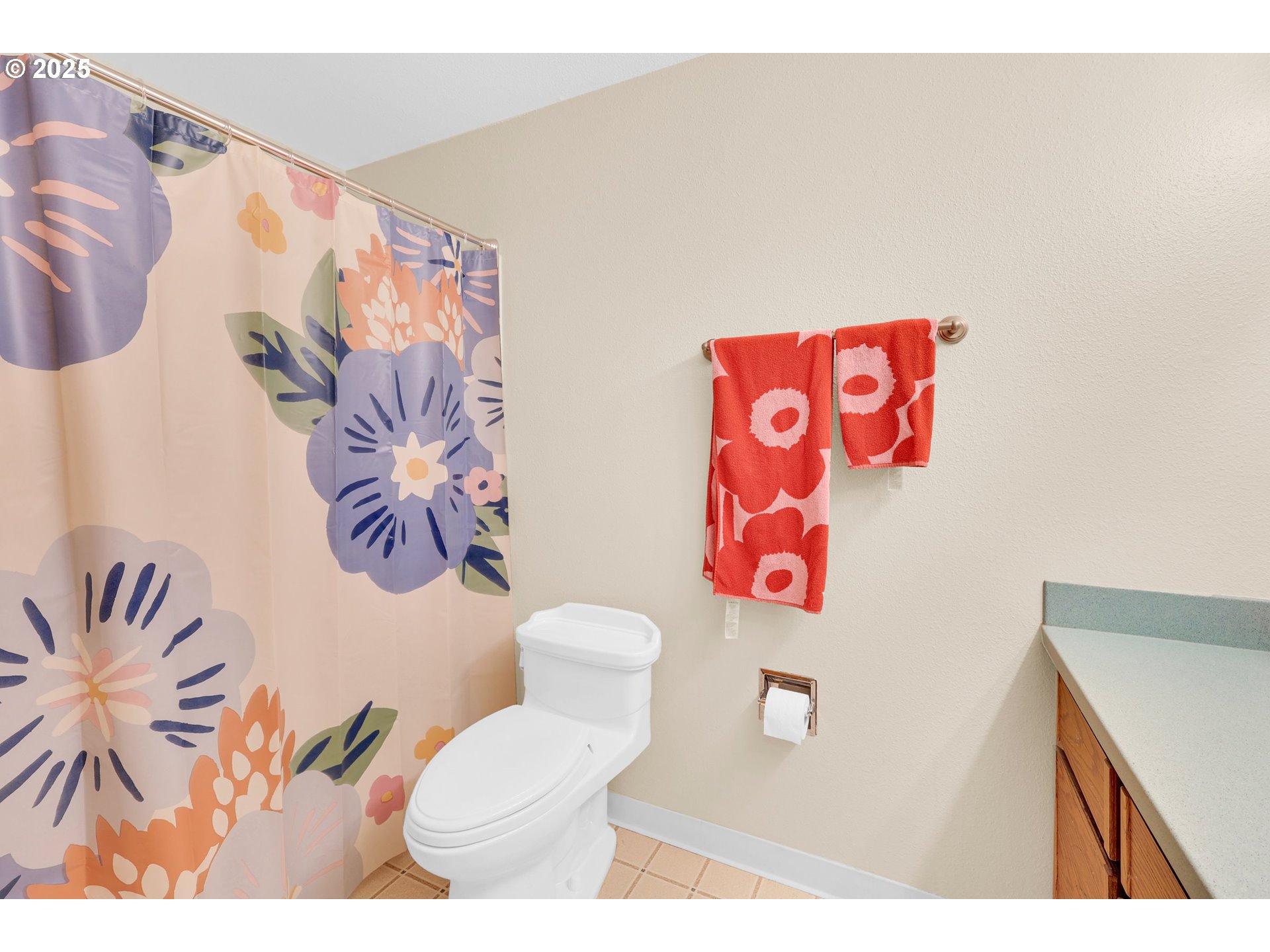 1003 Northwest 132nd Street Vancouver, WA 98685 - Photo 17 of 26 a bathroom with a sink toilet and vanity