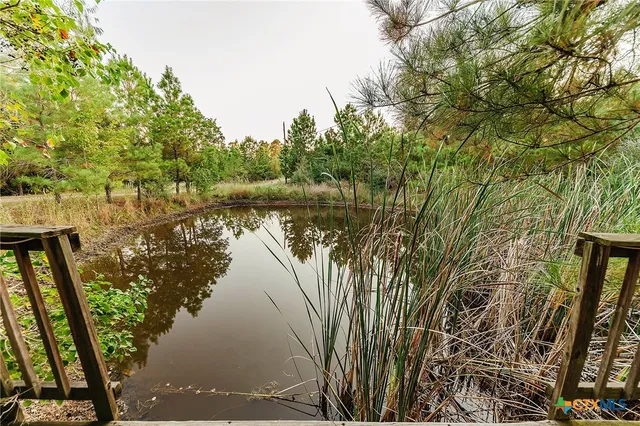 a view of a road with trees in the background