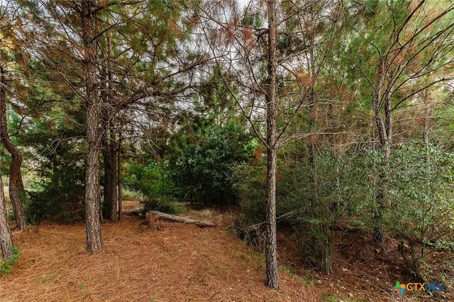 a view of a big yard with a house
