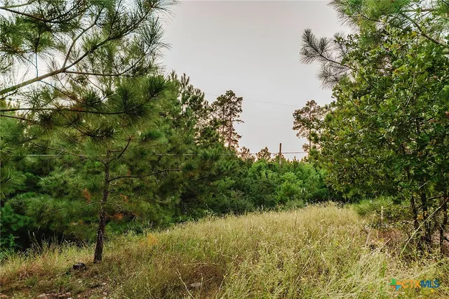 $425,000 | 139 Village Forest Drive, Smithville, TX 78957