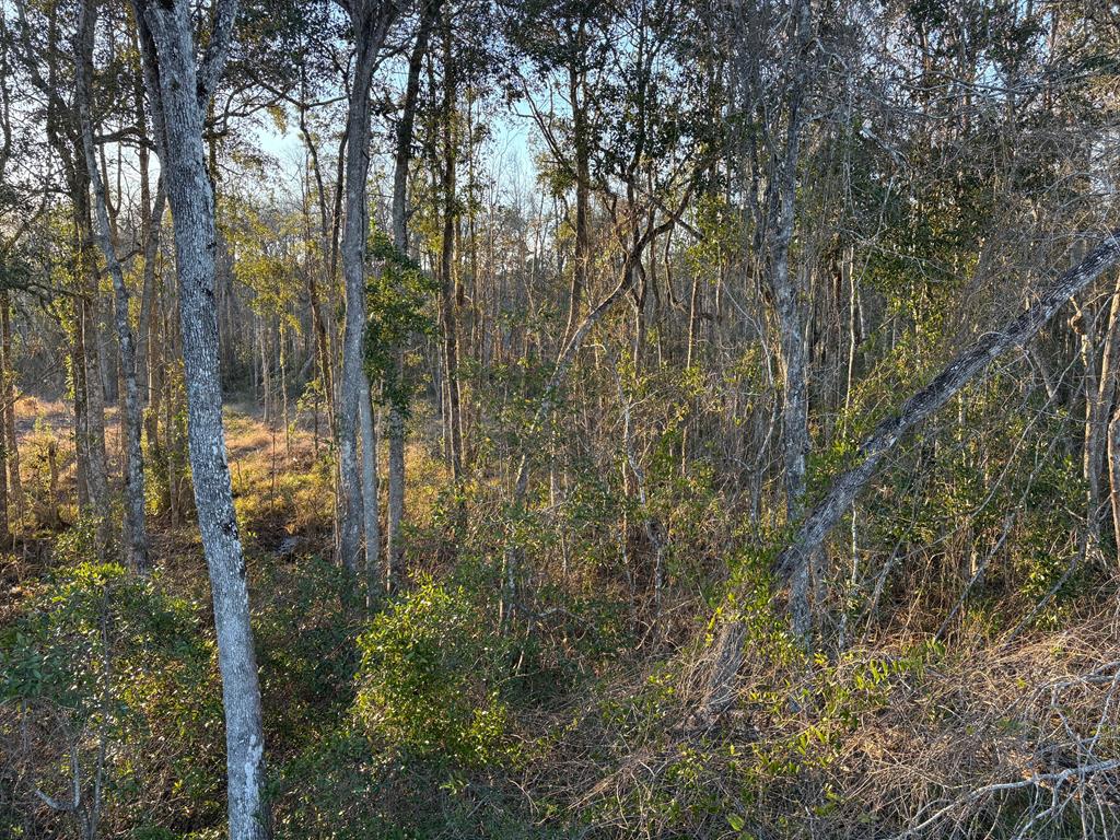 87 Highway 87 Samson, AL 36477 - Photo 37 of 47