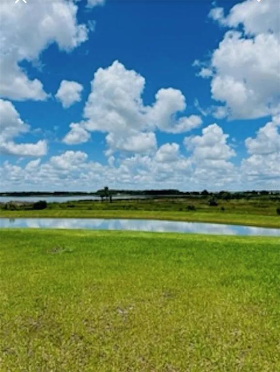31699 Sun Kettle Loop Wesley Chapel, FL 33545 - Photo 14 of 18 a view of an ocean and beach