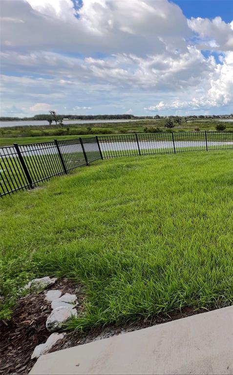 31699 Sun Kettle Loop Wesley Chapel, FL 33545 - Photo 17 of 18 a view of a garden with a big yard