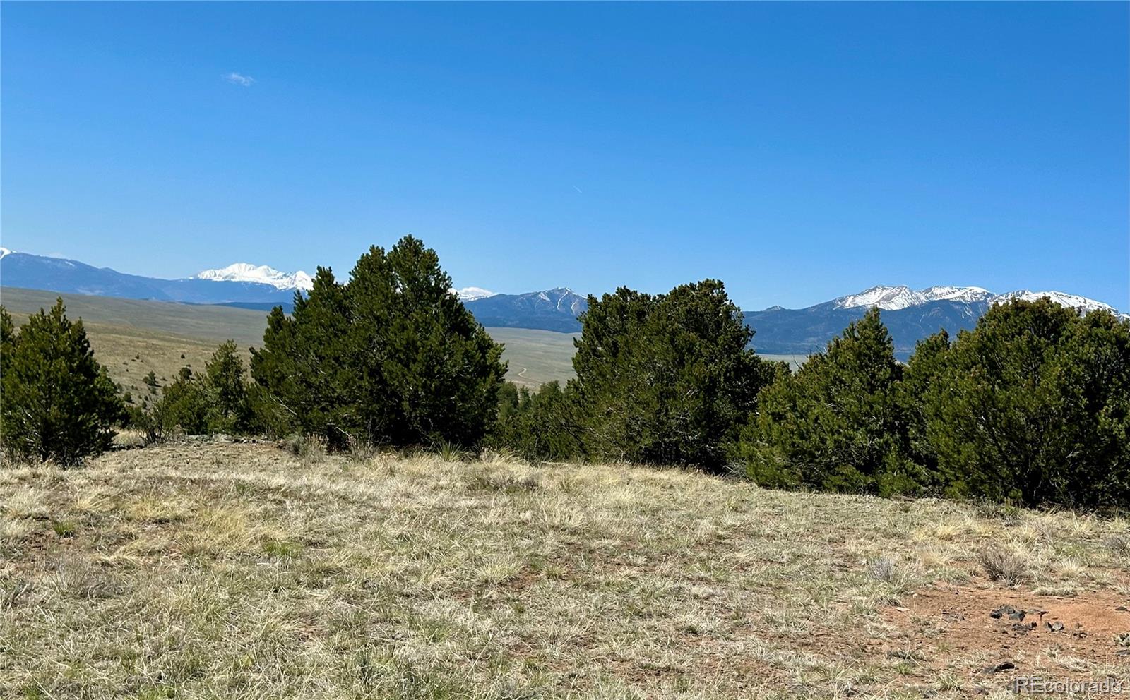 349 Navajo Road Westcliffe, CO 81252 - Photo 7 of 15 a view of a yard