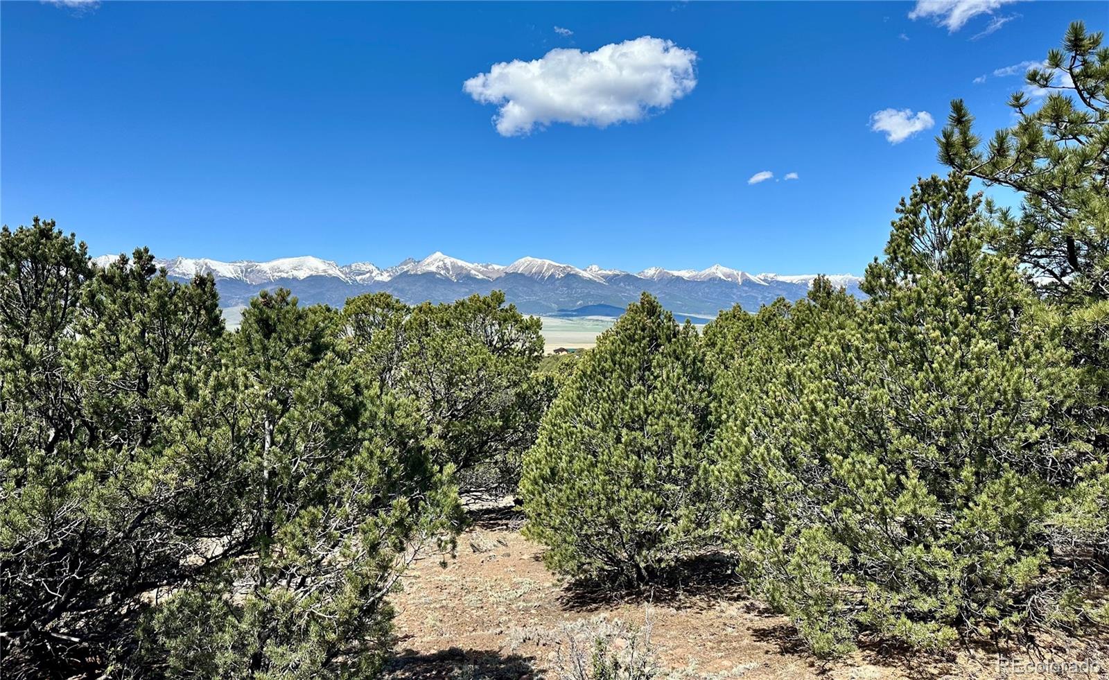 349 Navajo Road Westcliffe, CO 81252 - Photo 9 of 15 a sunset view with a tree in a yard