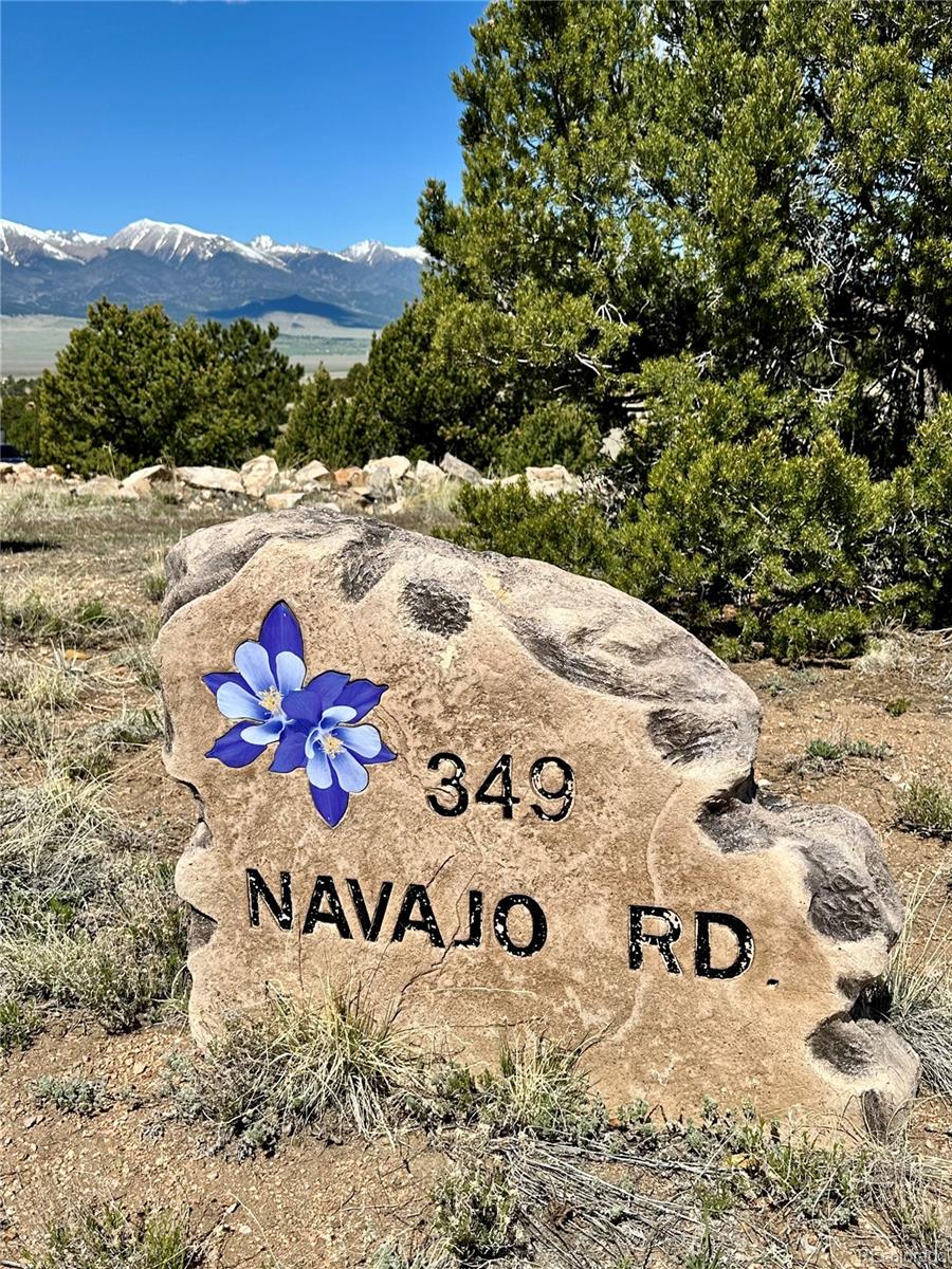 349 Navajo Road Westcliffe, CO 81252 - Photo 10 of 15 a view of a very nice looking yard