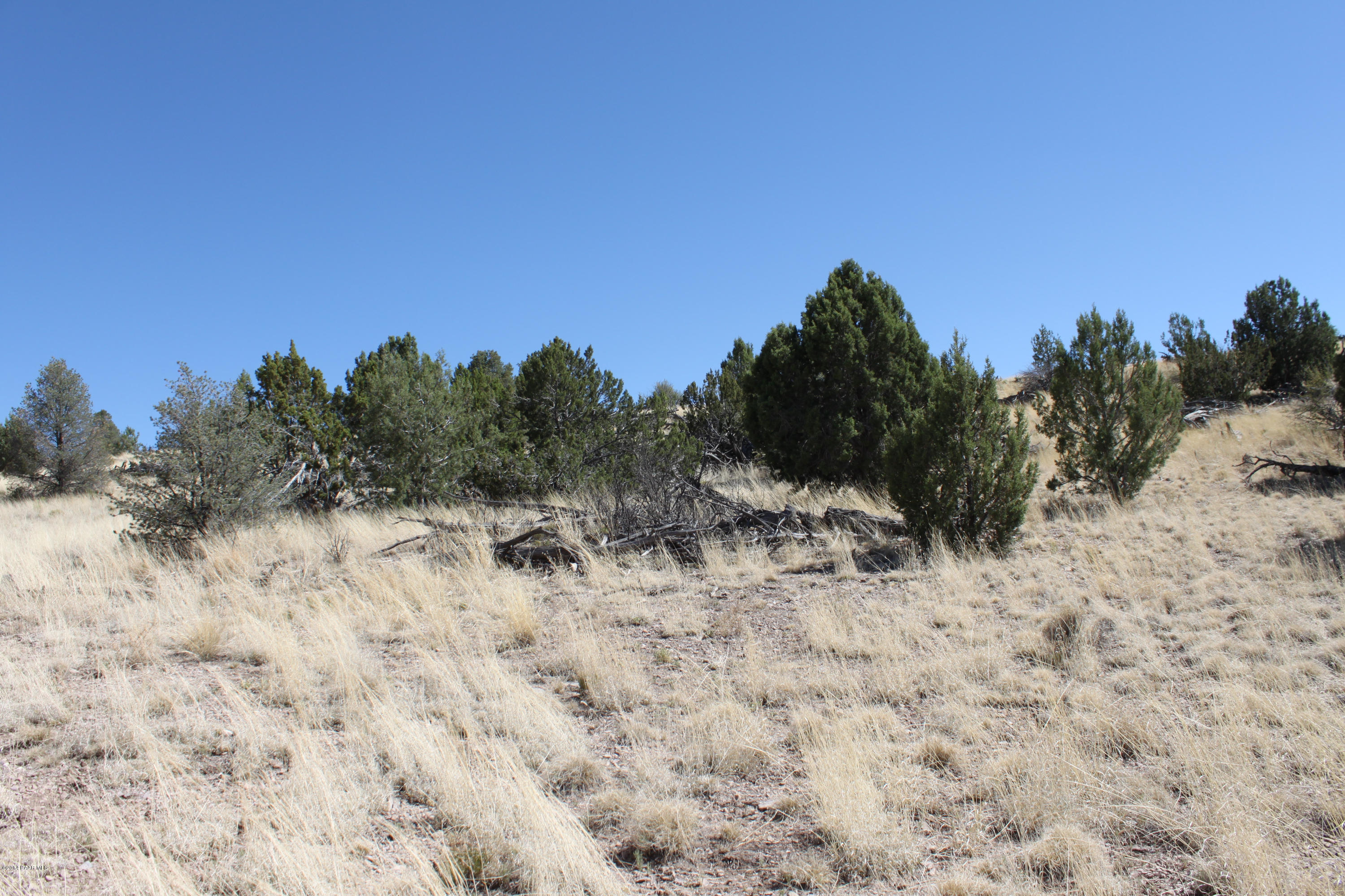 0 West Rambling Road Prescott, AZ 86305 - Photo 2 of 47 a view of a dry yard with trees in the background