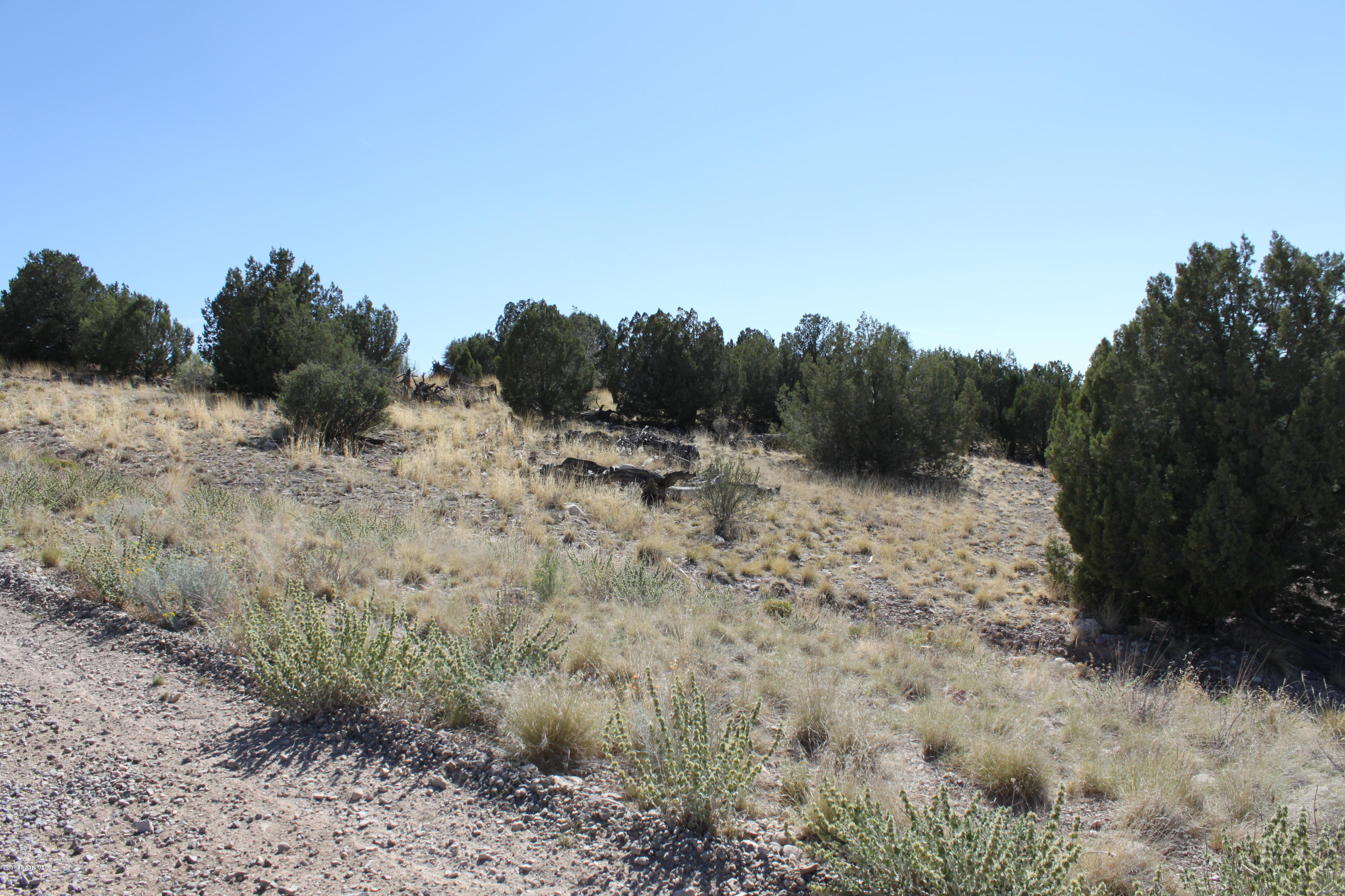 0 West Rambling Road Prescott, AZ 86305 - Photo 30 of 47 a view of a dry yard with trees in the background