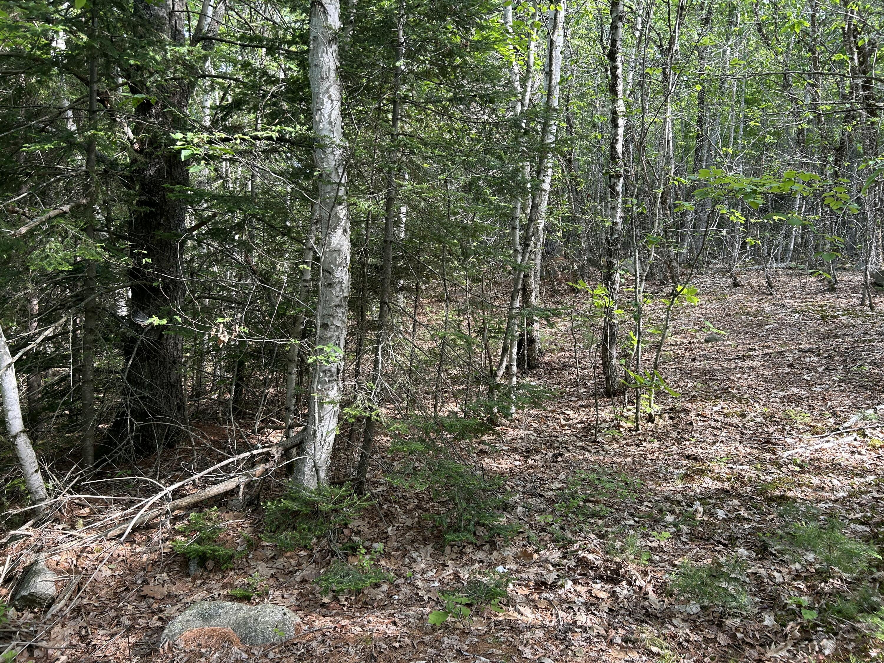M5-l16 Clark Road Prospect, ME 04981 - Photo 36 of 45 IMG_8761