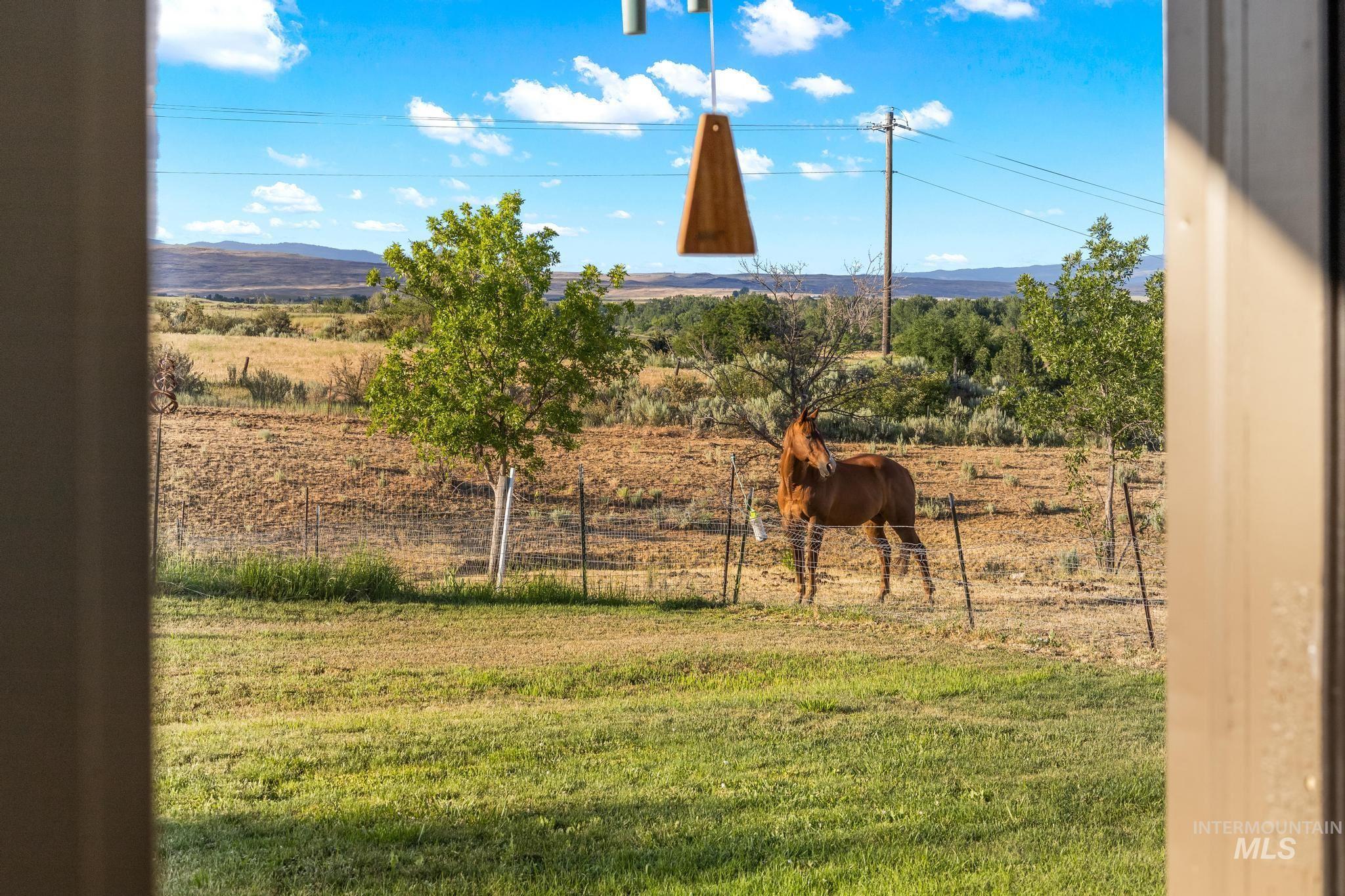 2208 Keithley Creek Road Midvale, ID 83645 - Photo 33 of 45 Mountain view featuring rural landscape