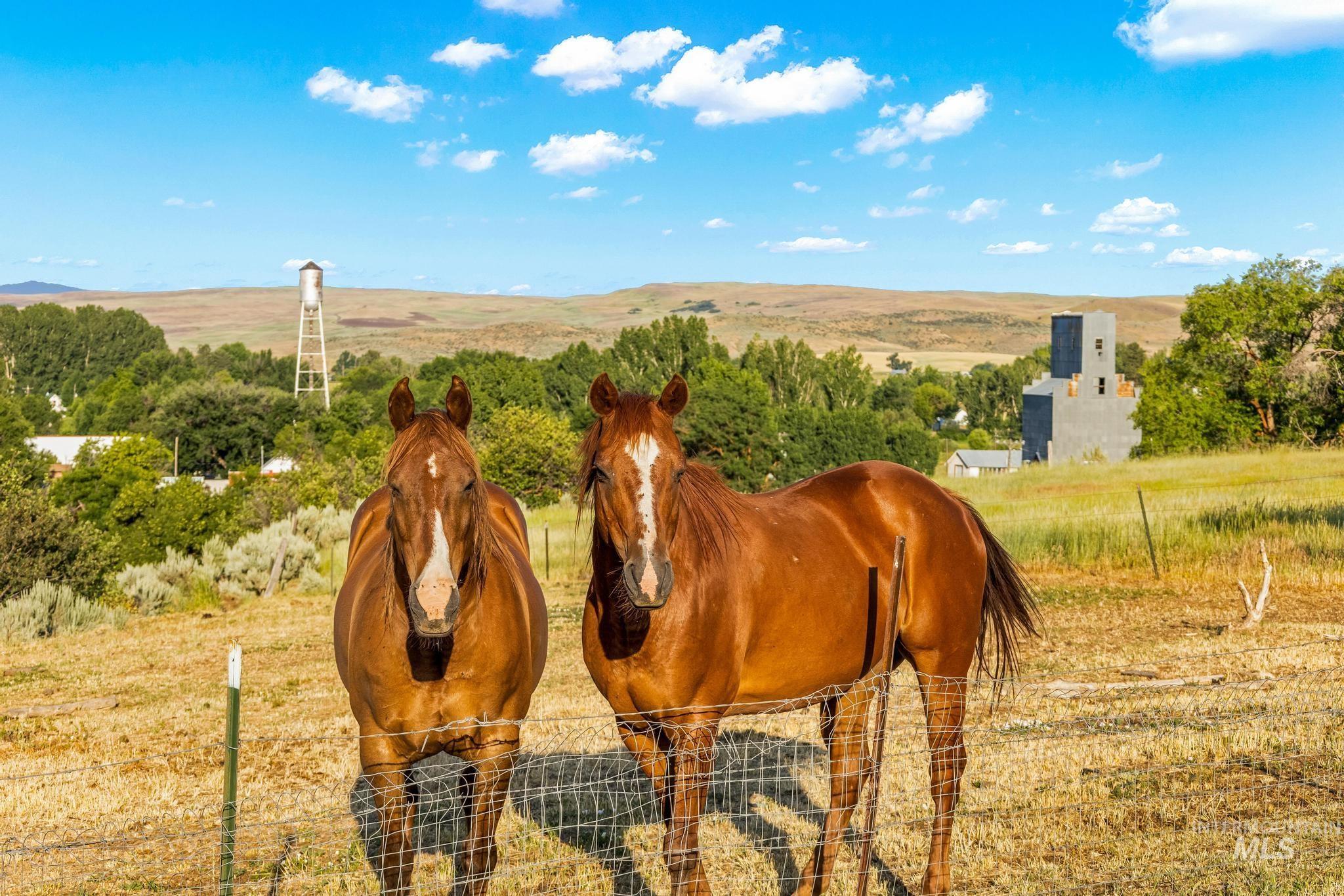 2208 Keithley Creek Road Midvale, ID 83645 - Photo 34 of 45 Exterior view of mountains