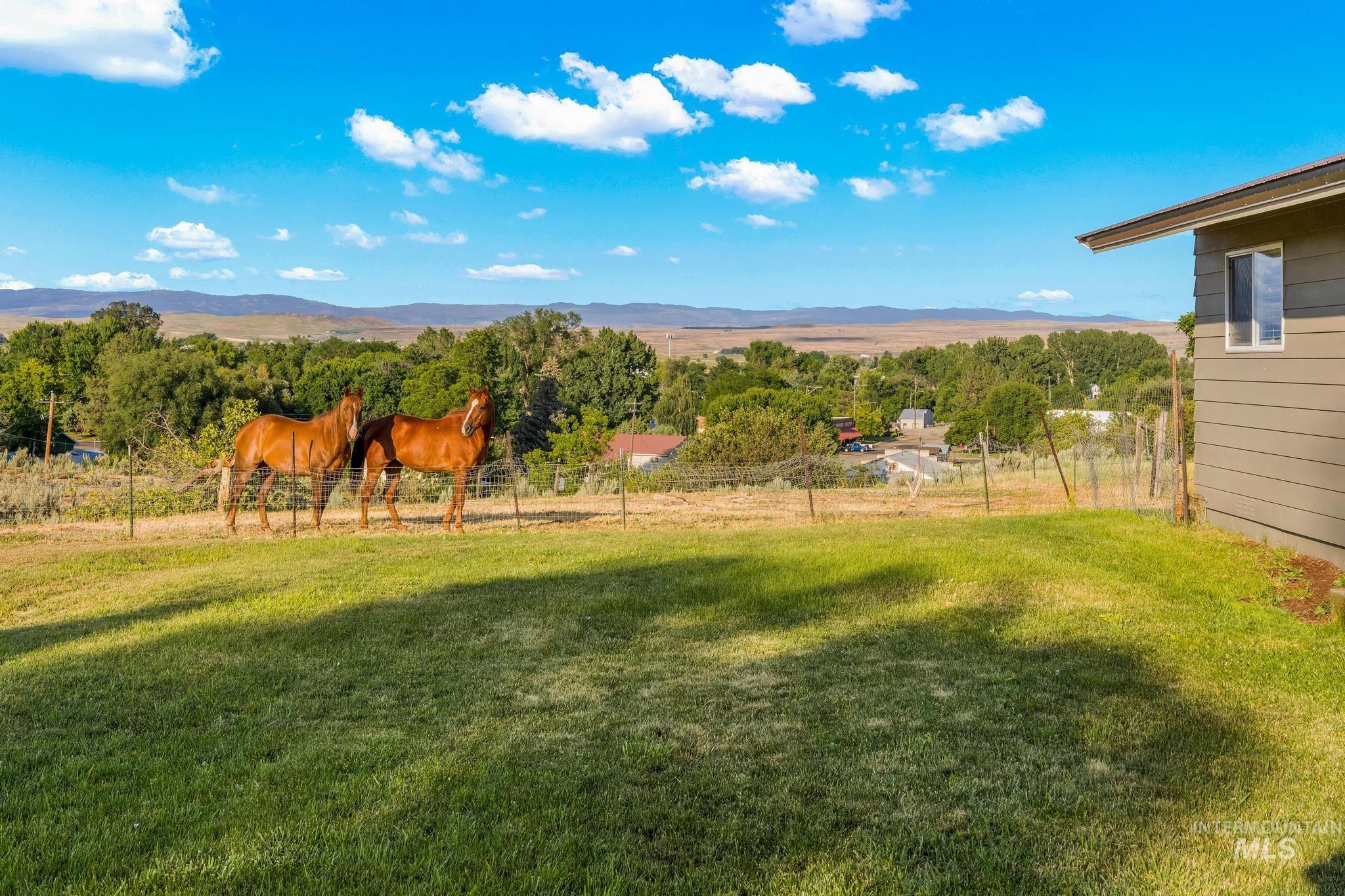 2208 Keithley Creek Road Midvale, ID 83645 - Photo 37 of 45 View of yard featuring a mountain view and a rural view