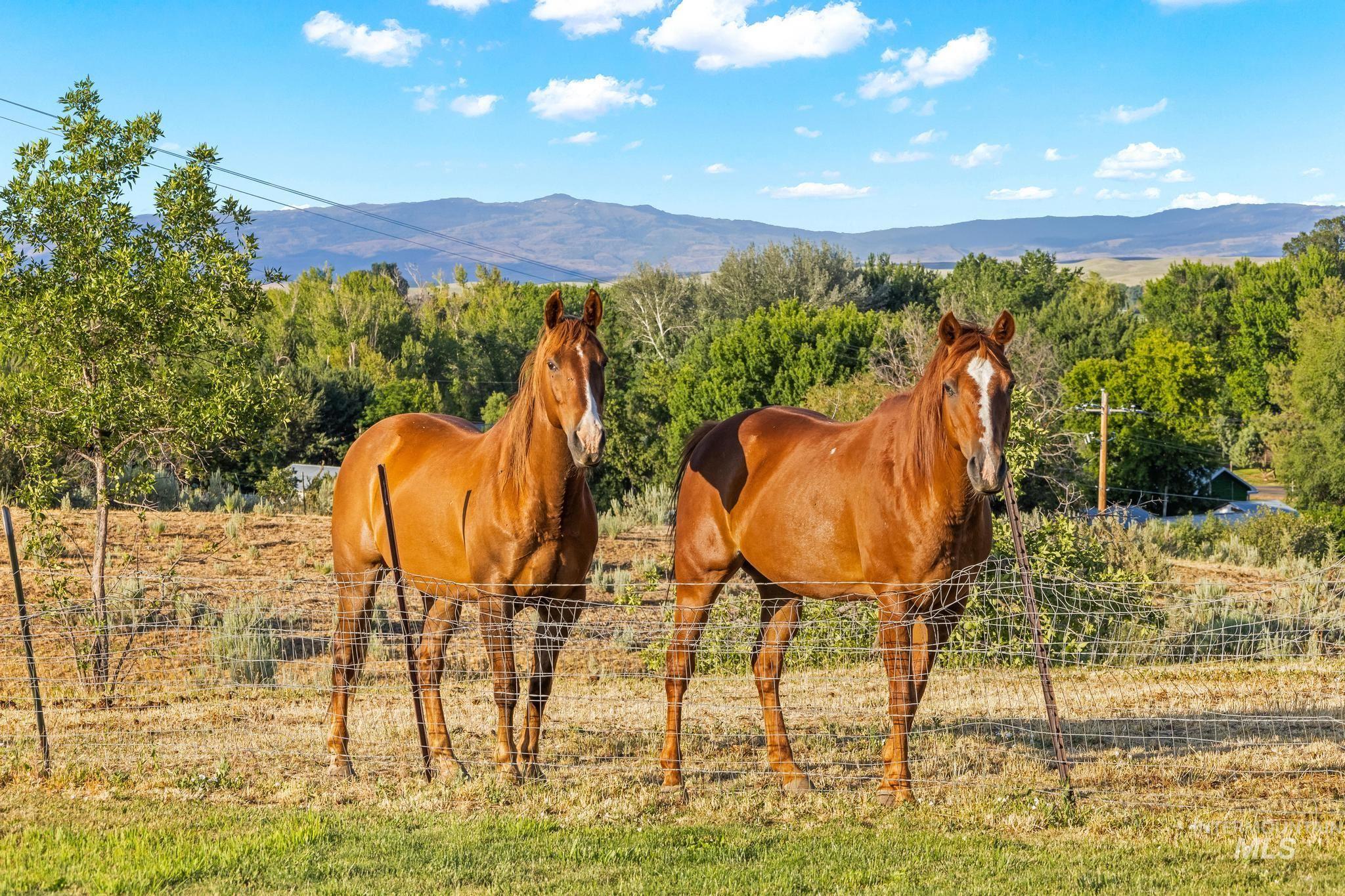 2208 Keithley Creek Road Midvale, ID 83645 - Photo 39 of 45 Stable featuring a mountain view