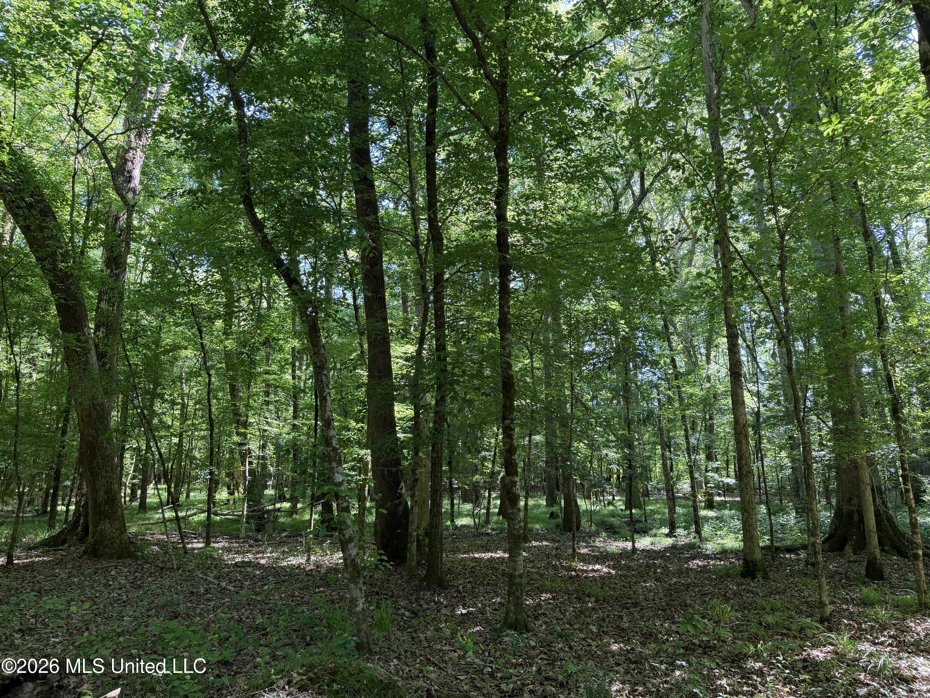 Couparle Road Camden, MS 39045 - Photo 2 of 47 2