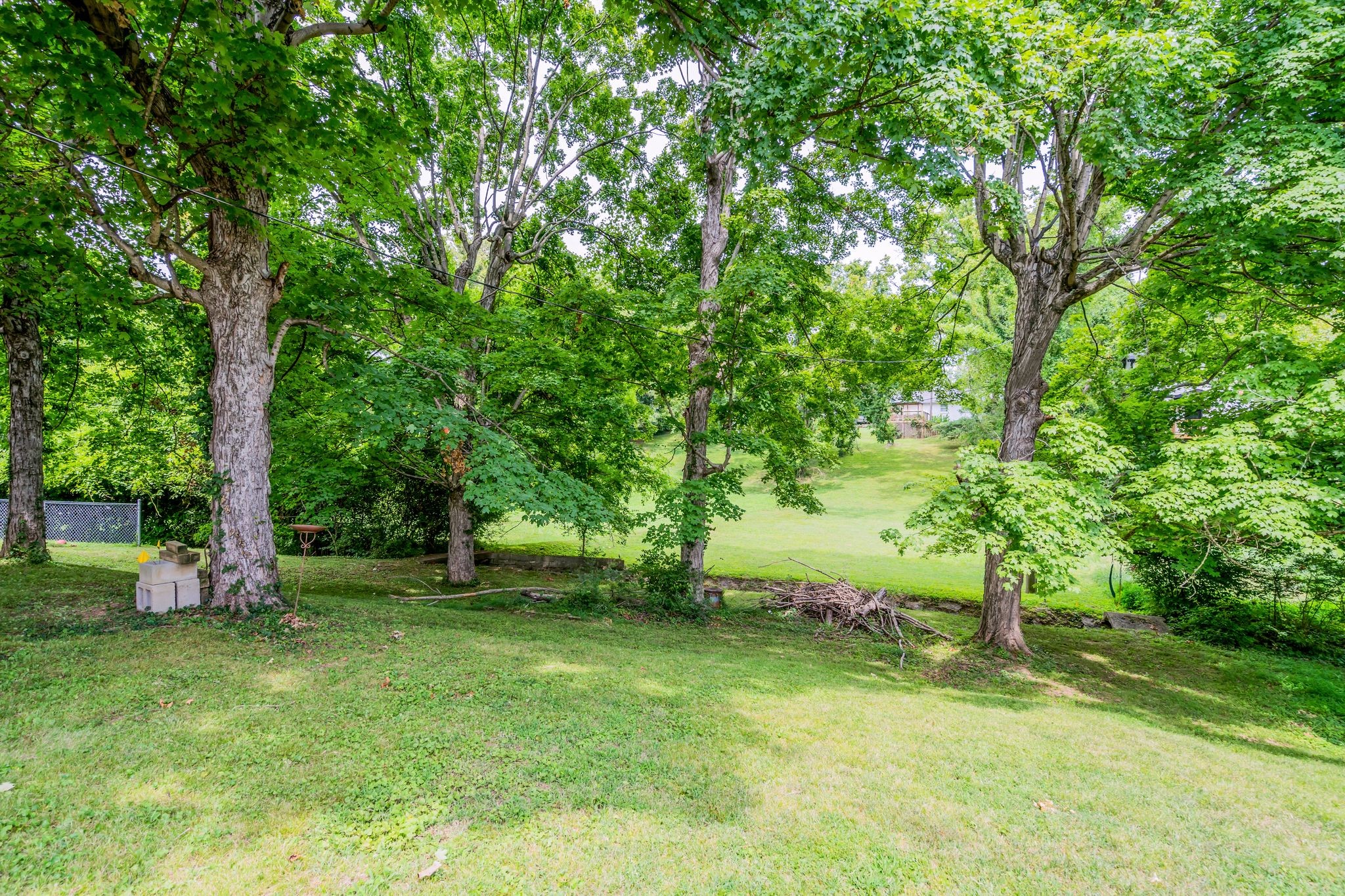 1801 Golf Club Road Old Hickory, TN 37138 - Photo 30 of 32 Back yard.