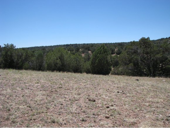 96 Off Of Arizona Road Ash Fork, AZ 86320 - Photo 8 of 13 Additional Photo