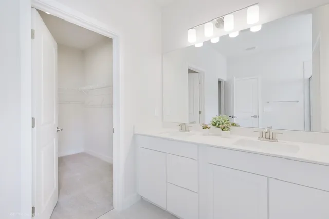 a bathroom with a sink double vanity and a mirror