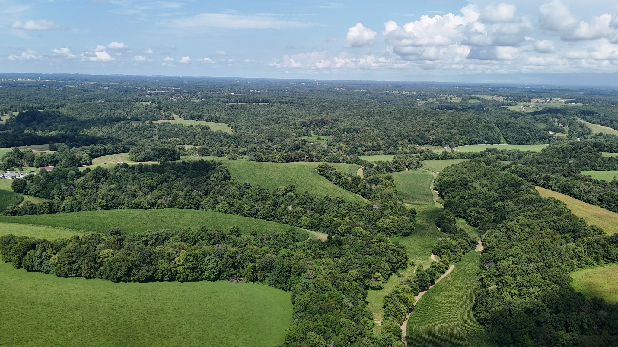 0 Taurus Farm Road Lafayette, TN 37083 - Photo 14 of 67 a view of a green field with lots of bushes
