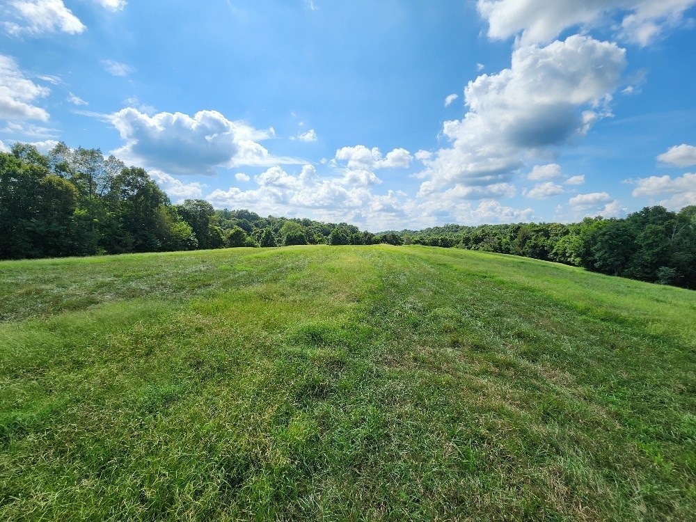 0 Taurus Farm Road Lafayette, TN 37083 - Photo 16 of 67 a view of a big yard with plants and large trees
