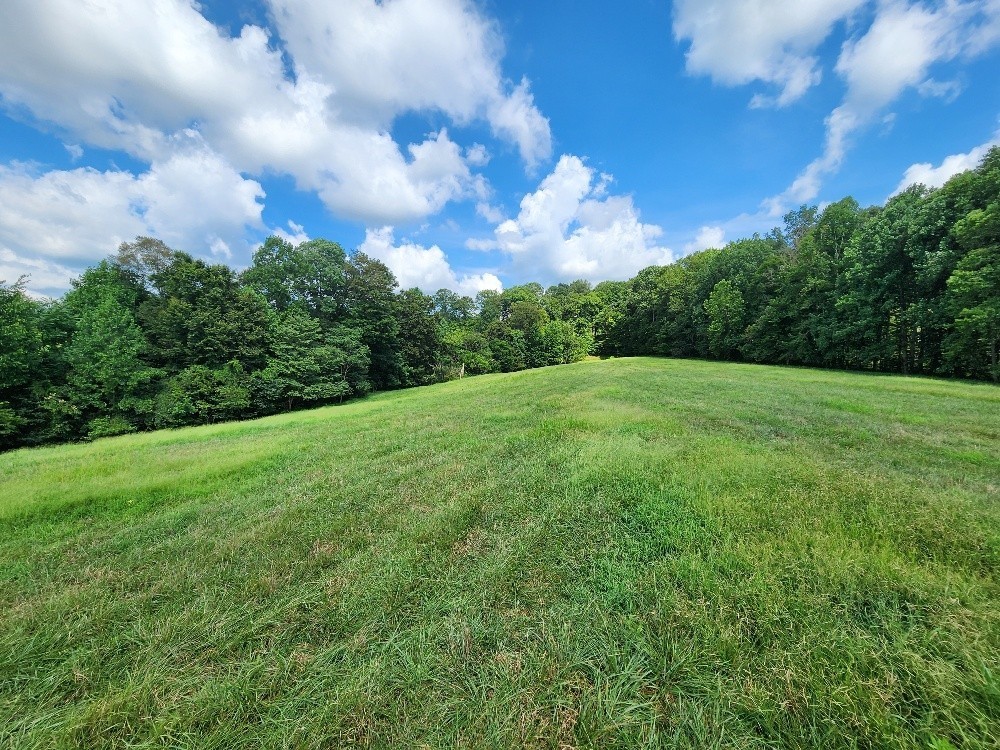 0 Taurus Farm Road Lafayette, TN 37083 - Photo 36 of 67 a view of a big yard with plants and large trees